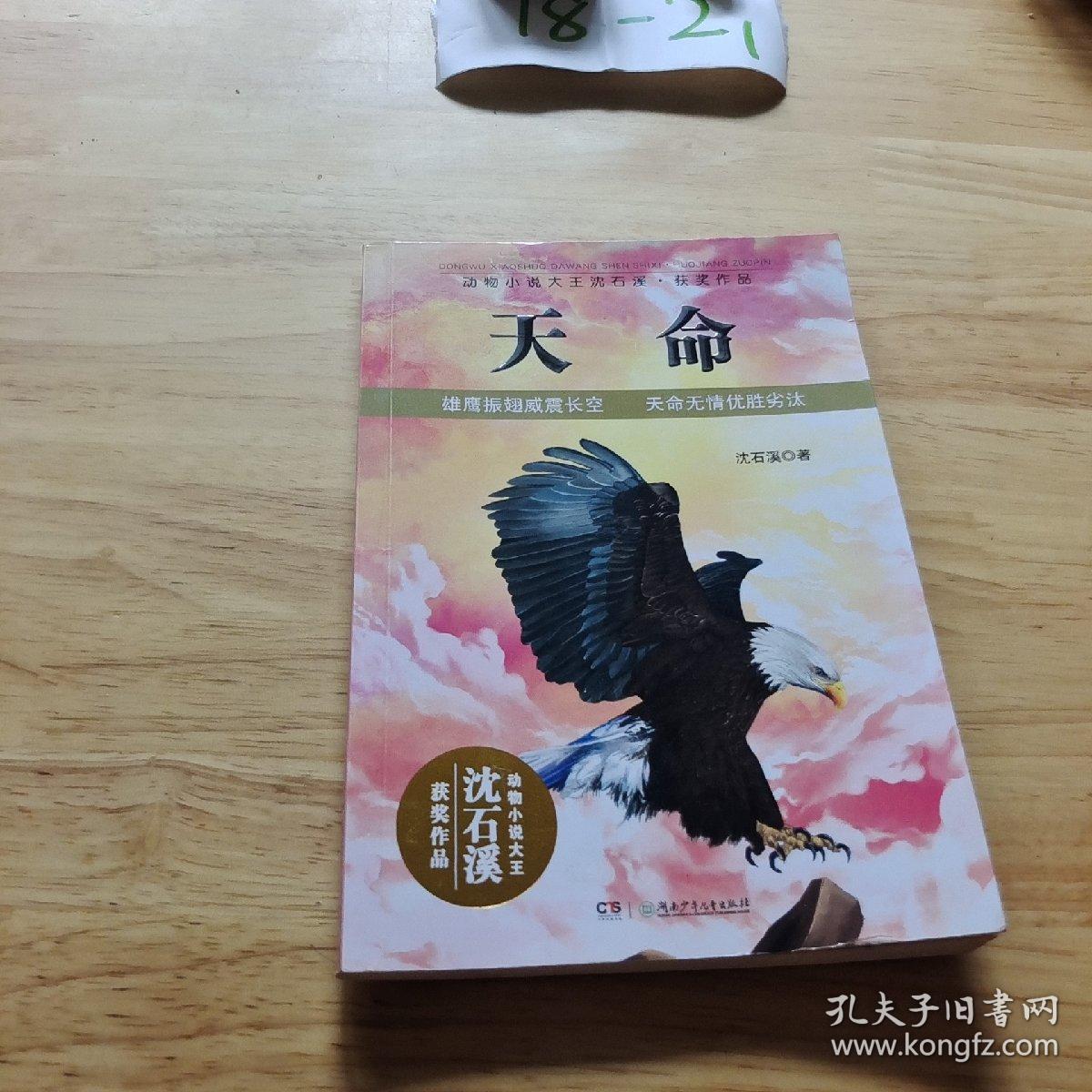 动物小说大王沈石溪·获奖作品：天命