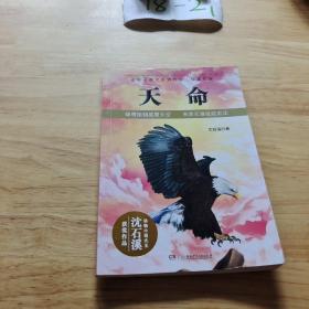 动物小说大王沈石溪·获奖作品：天命