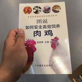 图说如何安全高效饲养肉鸡