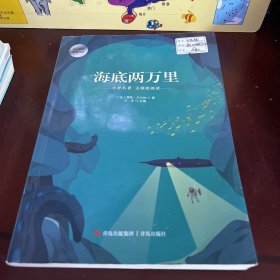 海底两万里（无障碍阅读）