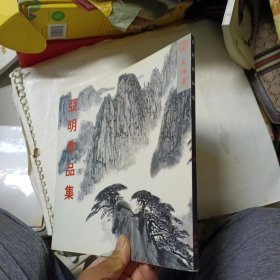 亚明作品集