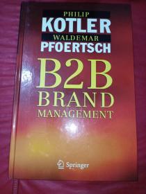 B2b Brand Management