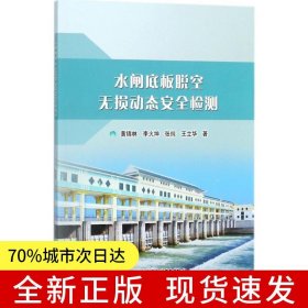 水閘底板脫空無損動態(tài)安全檢測