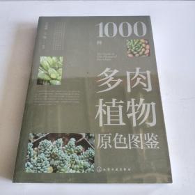 1000种多肉植物原色图鉴