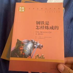 钢铁是怎样炼成的 名家名译世界经典文学名著 原汁原味读原著