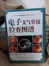 电子支气管镜检查图谱（精装16开）【原包库存书籍 正版全新未开封】（18）