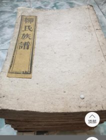 柳氏族谱，家谱，宗谱，清嘉庆年写本，全网首现，湖南、湖北、两省柳氏追根溯源，19巨册