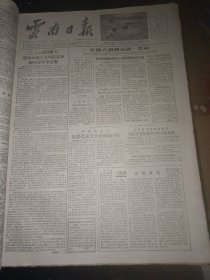 云南日报1956年7月合订本