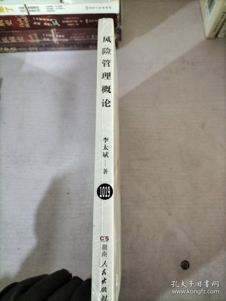 风险管理概论   从风险承担载体的角度，探讨了目标、价值、利益、结果和权利风险