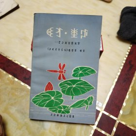 沃土花蕾 彝文诗歌选