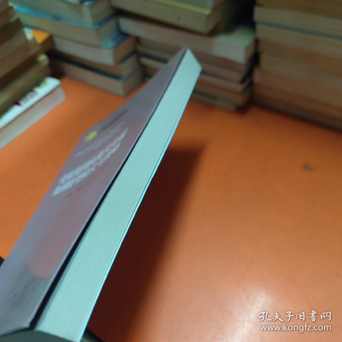 媒介与社会书系（第3辑）：党报集团向现代传媒集团转型模式与战略