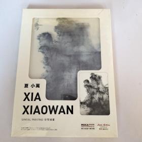 XIAXIAOWAN 夏小万 空间绘画
