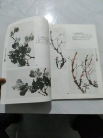花鸟画学谱：牡丹