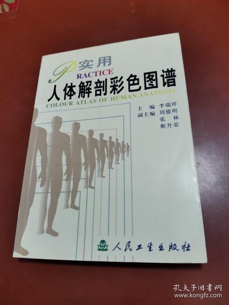实用人体解剖彩色图谱（）
