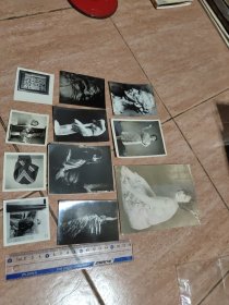 服装样品资料照片--（30多张）