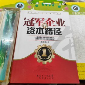 企业管理王道丛书：冠军企业的资本路径