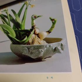 1986年挂历 花卉盆景  河北美术出版社