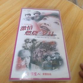 激情燃燒的歲月 光盤22張