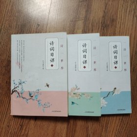 疯狂阅读 一诗一世界·诗词日课--天星教育 上中下三册（3本合售）