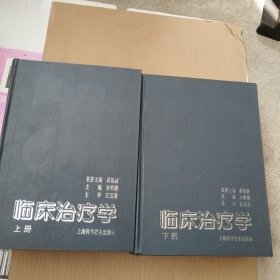 临床治疗学 上下册（精装）