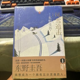 风雪追击(精)