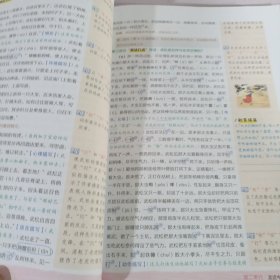 荣德基初中系列·特高级教师点拨：五年级语文（下）（R版）