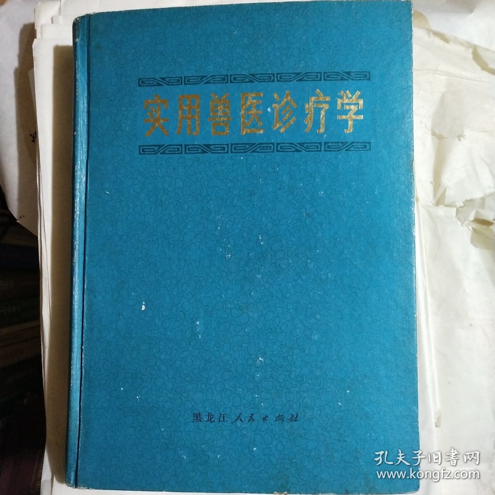实用兽医诊疗学
