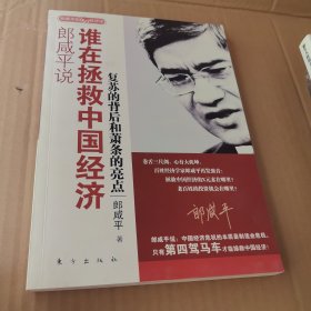 郎咸平说：谁在拯救中国经济：复苏的背后和萧条的亮点