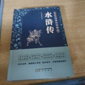 水浒传（精装四大名著足本典藏无障碍阅读图表解析）九年级上册阅读