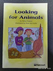looking for animals