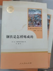 统编语文教材配套阅读 八年级下：钢铁是怎样炼成的/名著阅读课程化丛书。