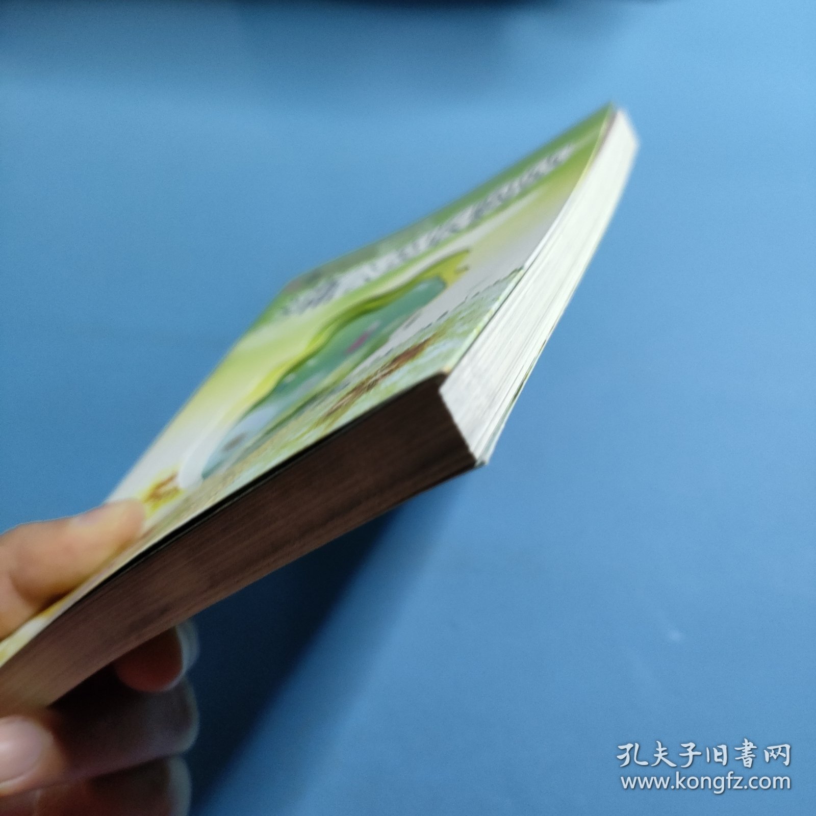 薛涛心灵成长小说珍藏本--蒲公英收购站