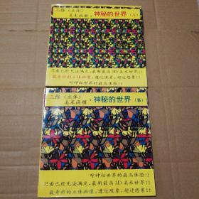 三维立体美术画册  神秘的世界AB【A：下角褶皱折痕，第2-11页装帧组半脱页见图8，第2-10页底部内书脊空白处破损见图9-14。其他瑕疵仔细看图品相依图】