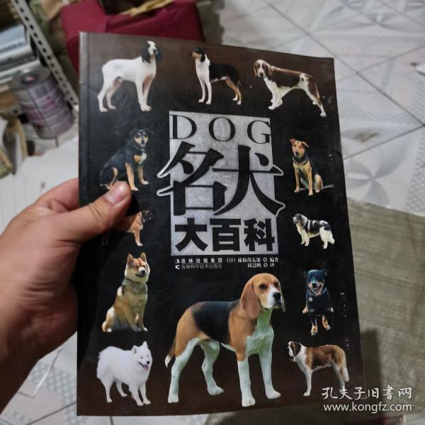 名犬大百科