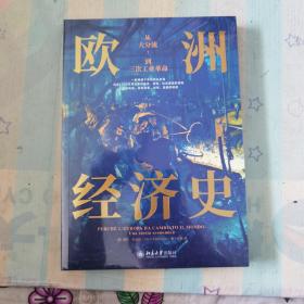 欧洲经济史：从大分流到三次工业革命 以全球视野，讲述1700年至今欧洲经济的故事