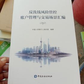 反洗钱风险管控账户管理与交易场景汇编