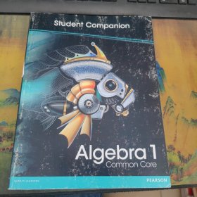 Algebra 1 Student
