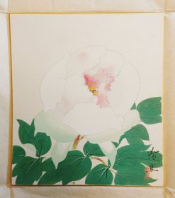 牡丹 纯手绘 日本套装回流精品色卡 玲燕作品 长27cm宽24Cm。
