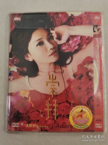 梁静茹崇拜 jAdore DVD-9 一碟装【碟片无划痕】