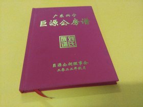 《广东兴宁巨源公房谱》