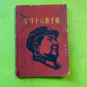 学习十六条手册（带木木）