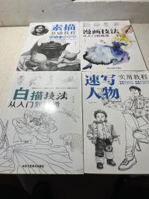 漫画技法：从入门到精通