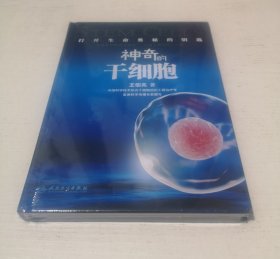 神奇的干细胞