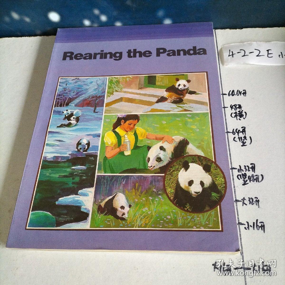 大熊猫丛书:  5饲养中的大熊猫