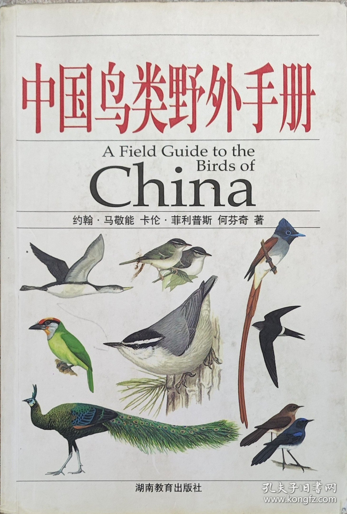 中国鸟类野外手册