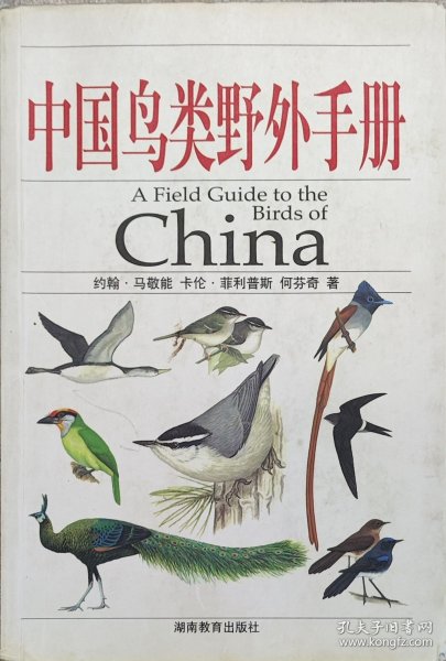 中国鸟类野外手册