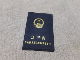 辽沈战役纪念馆的技术资格证