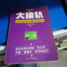 大接轨：走向全球化的中国开放型经济