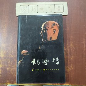 《胡风传》