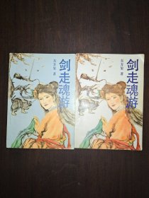 剑走魂游 上下册